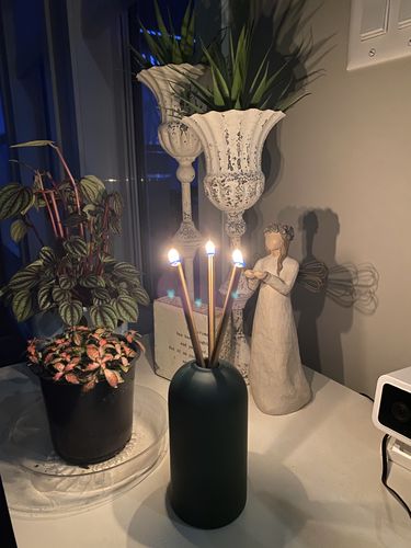 Customer photo review of Gold + Wylie Green Set