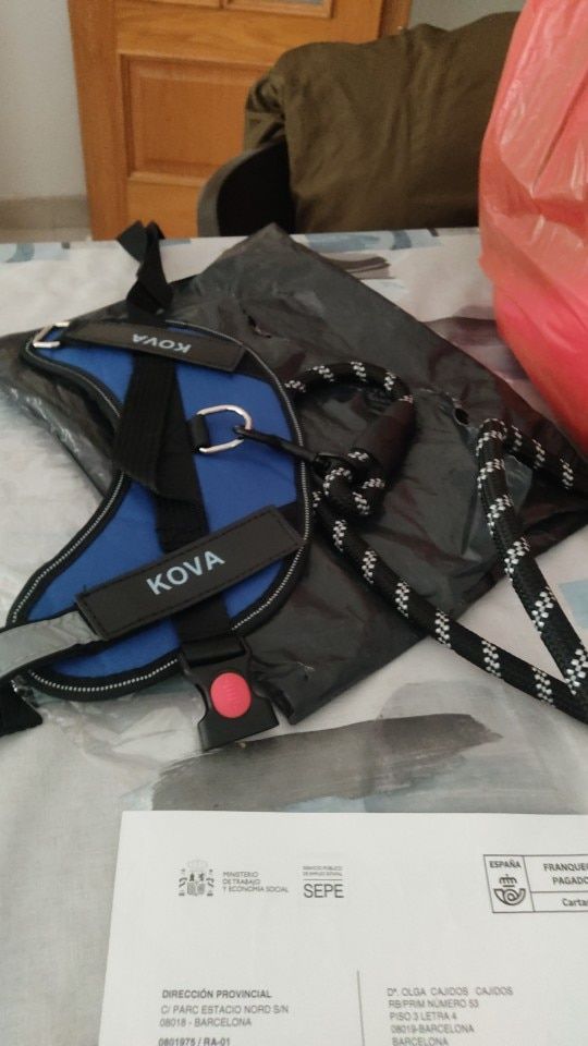 Customer photo review of Safety No Pull Dog Harness