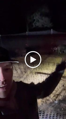 Customer video review of Pig Brig Trap System