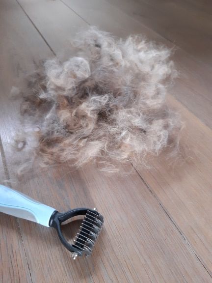 Customer photo review of Dual-Head Safe Pet Dematting Comb
