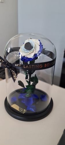 Customer photo review of Evil Eye Rose Belle