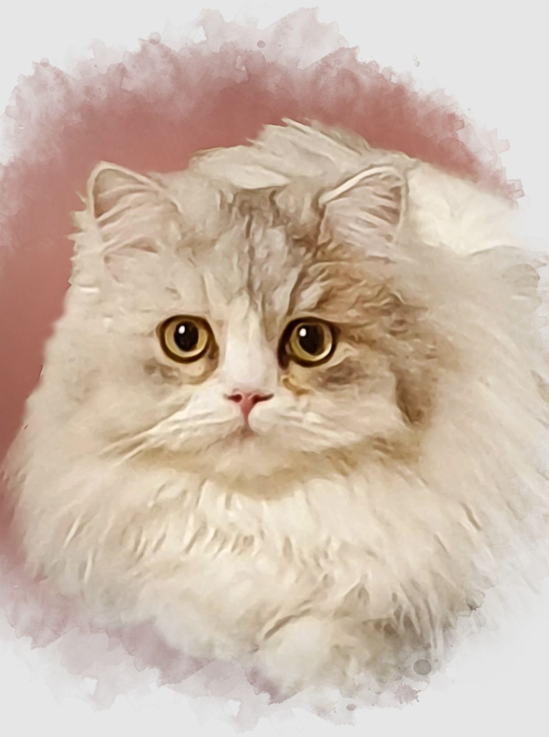 Customer photo review of Portrait deines Tieres im Wasserfarben-Stil