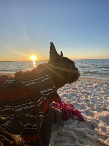 Customer photo review of Playa Poncho