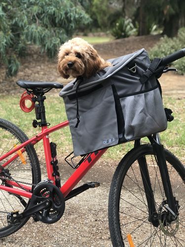 Customer photo review of All In One Pet Carrier Bag | Dog Bike Basket | Backpack for Dogs & Cats | Car Booster Seat