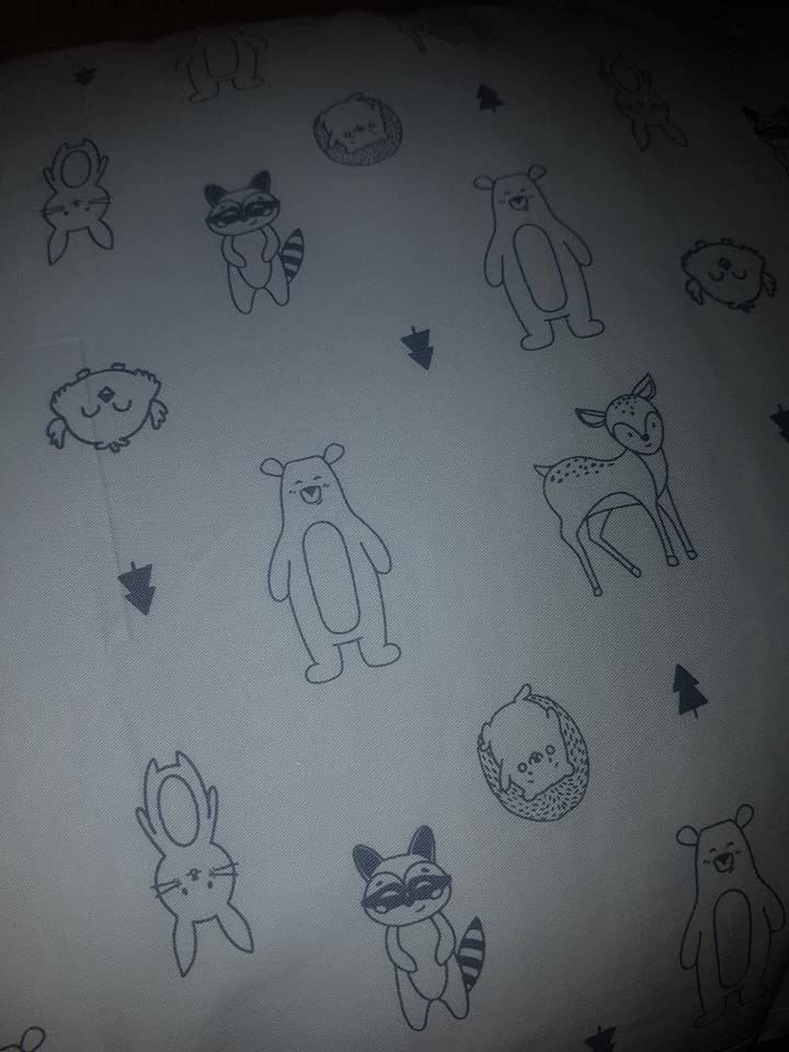 Customer photo review of Jumbo Toddler Pillow with Pillowcase