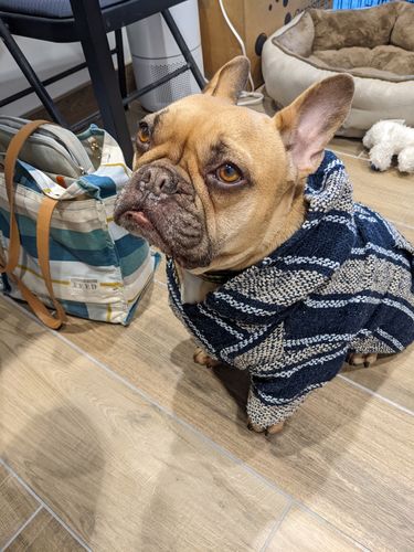 Customer photo review of Playa Poncho