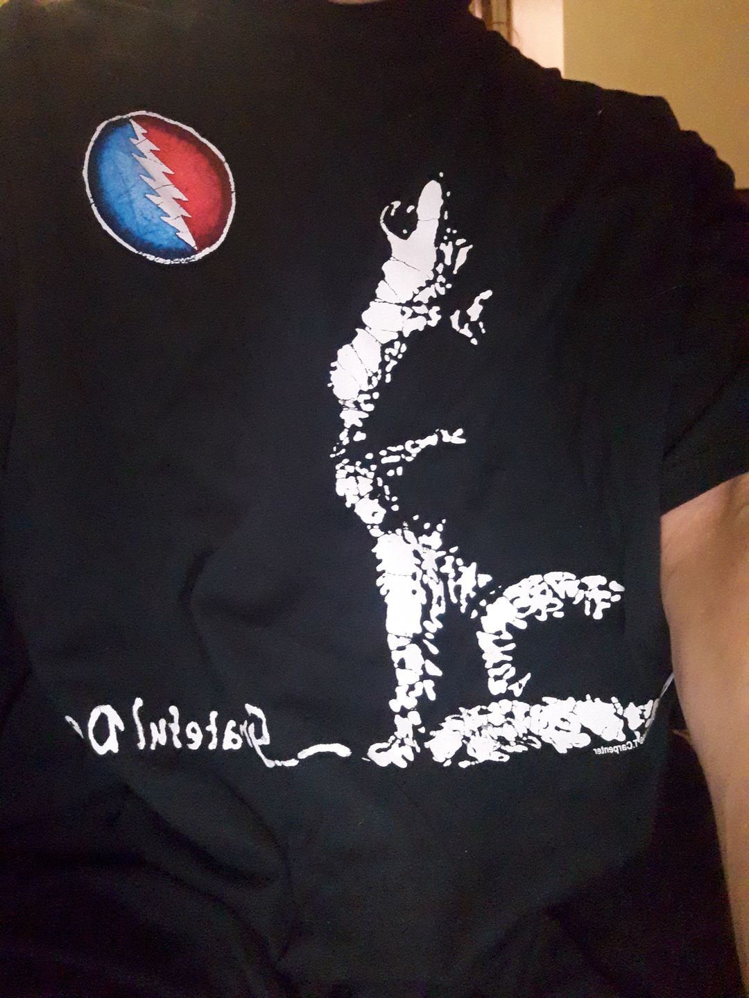 Customer photo review of Grateful Dead Dire Wolf T Shirt