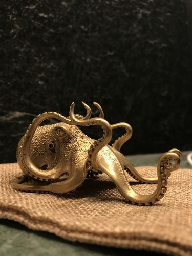 Customer photo review of Octopus Phone Holder | Bronze