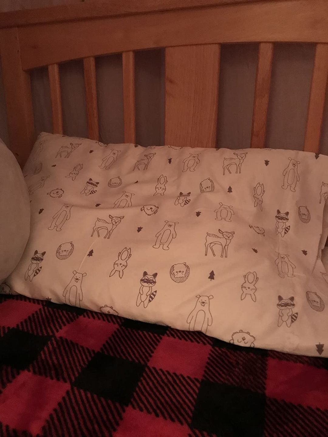 Customer photo review of Jumbo Toddler Pillow with Pillowcase