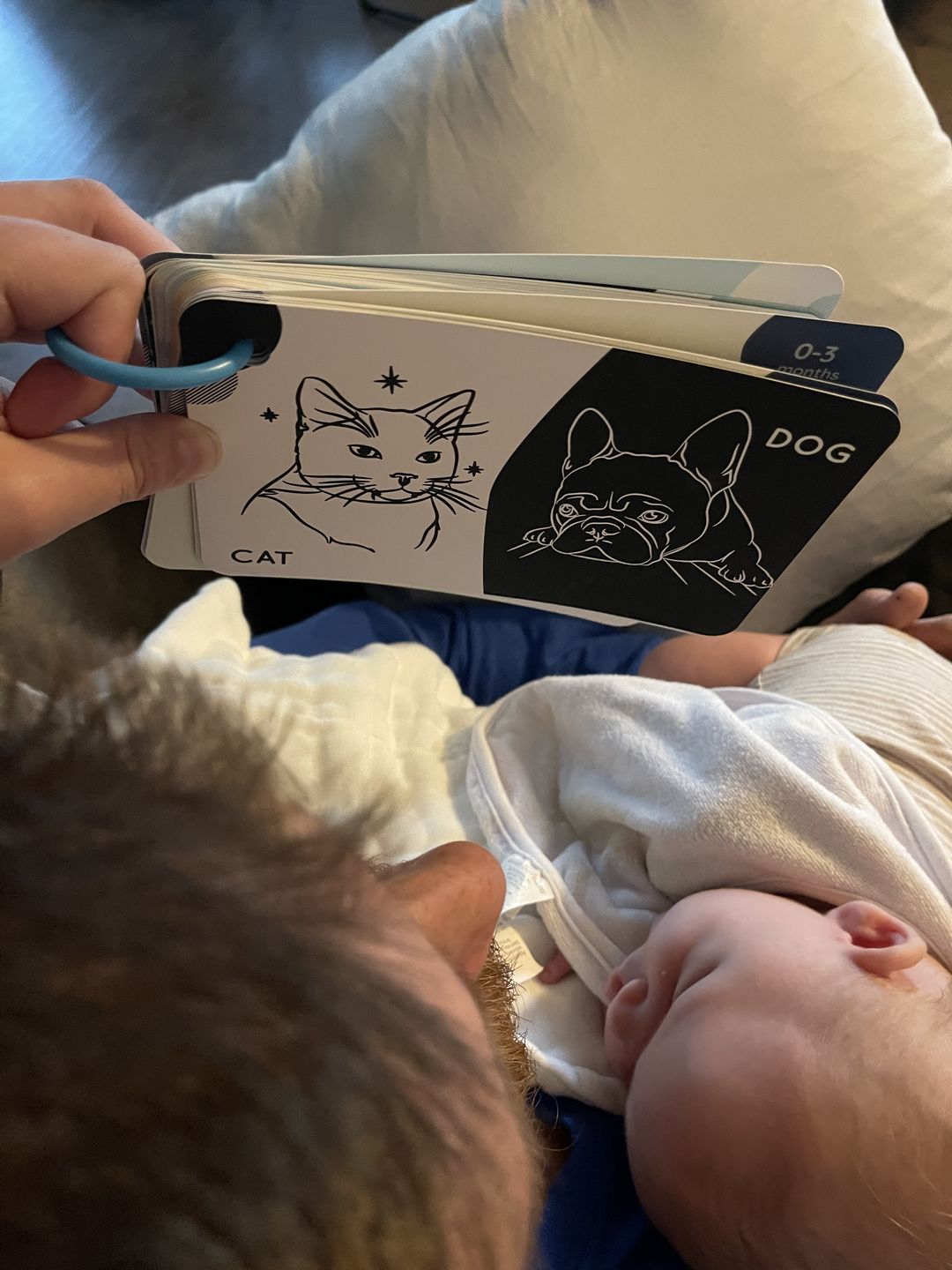 Customer photo review of Curious Baby™ Activity Cards