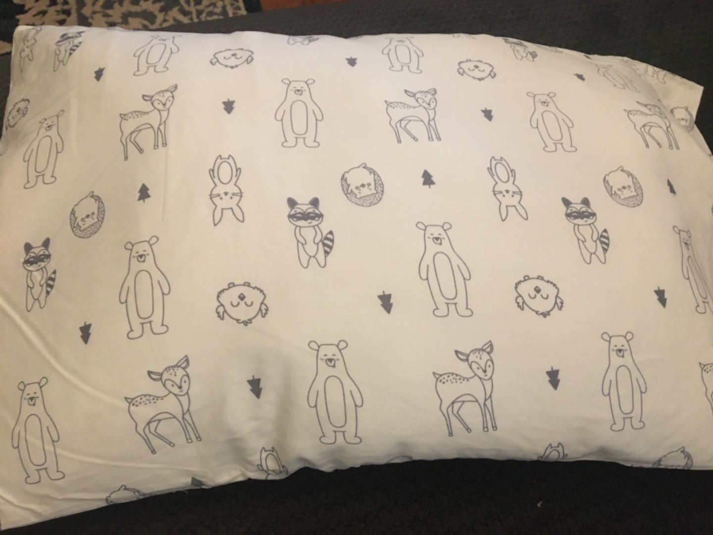 Customer photo review of Jumbo Toddler Pillow with Pillowcase