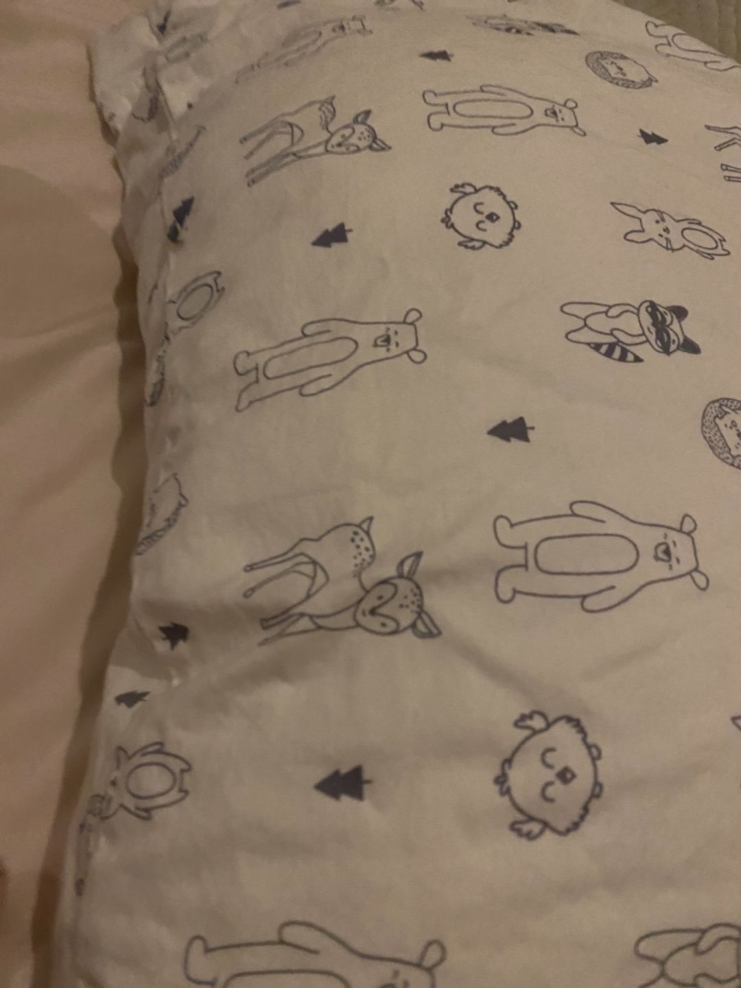 Customer photo review of Jumbo Toddler Pillow with Pillowcase