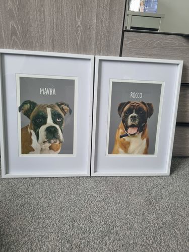 Customer photo review of Classic - Custom Pet Portrait