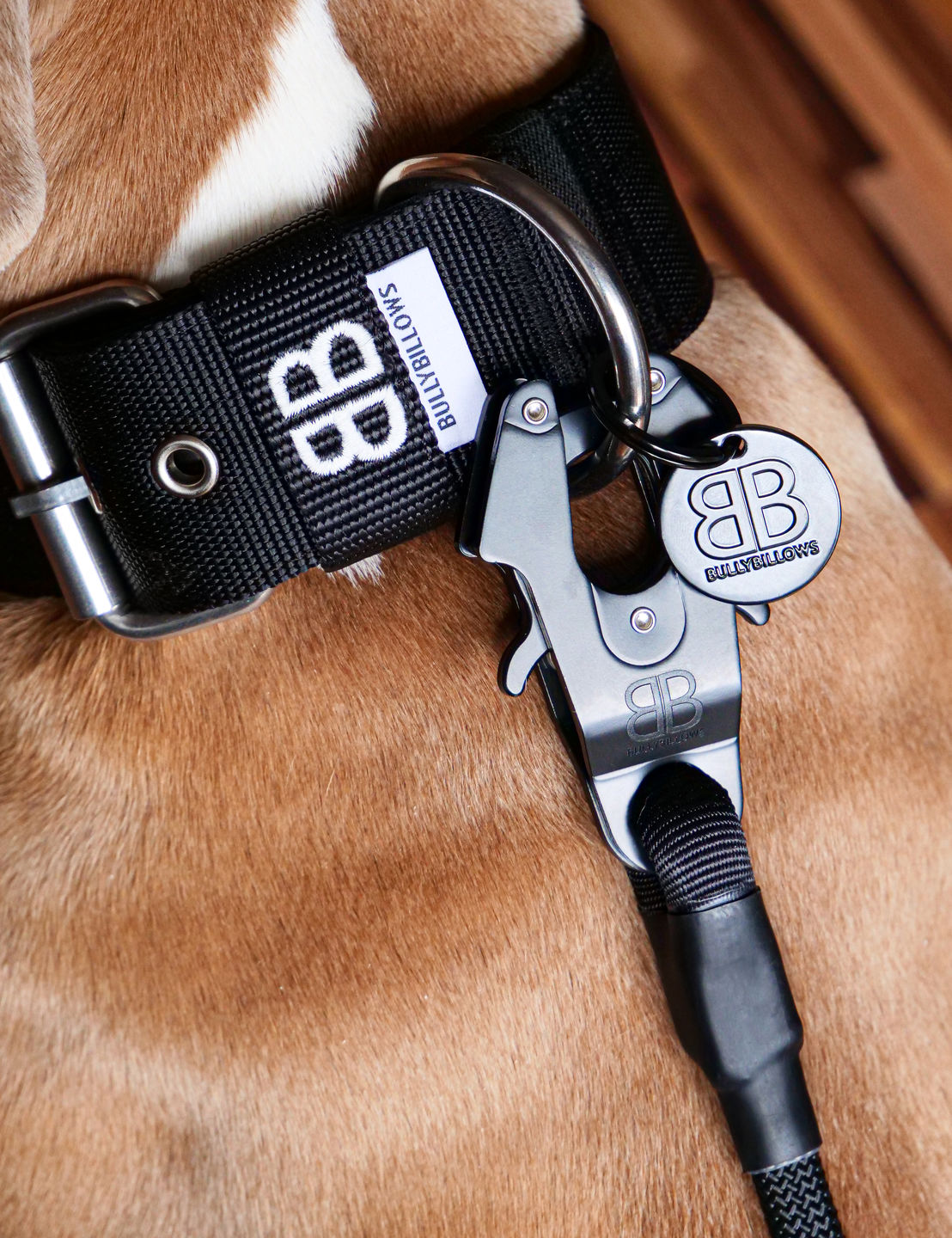 Customer photo review of ID Dog Tag - Black (With Gift Box)