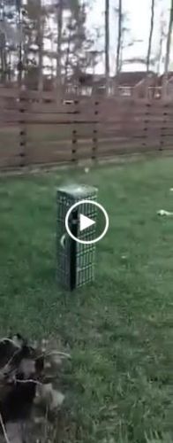 Customer video review of Leviathan