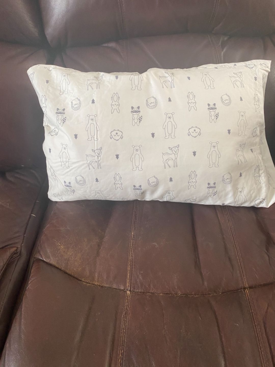 Customer photo review of Jumbo Toddler Pillow with Pillowcase