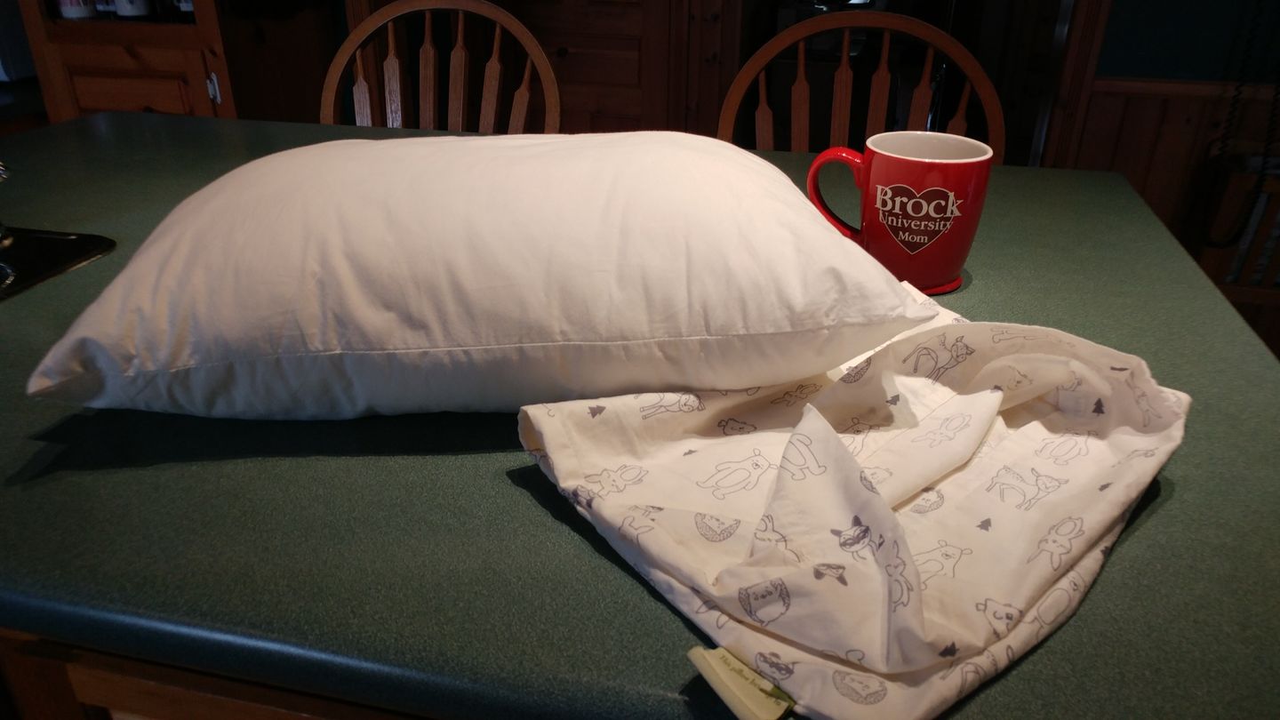 Customer photo review of Jumbo Toddler Pillow with Pillowcase
