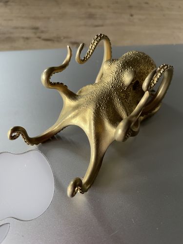 Customer photo review of Octopus Phone Holder | Bronze