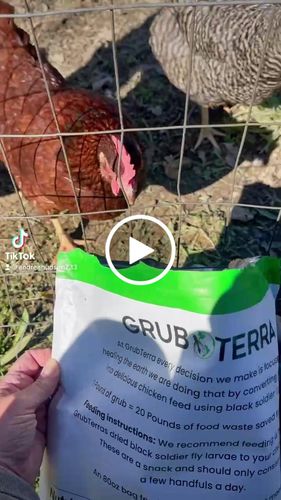 Customer video review of GrubTerra Dried Larvae
