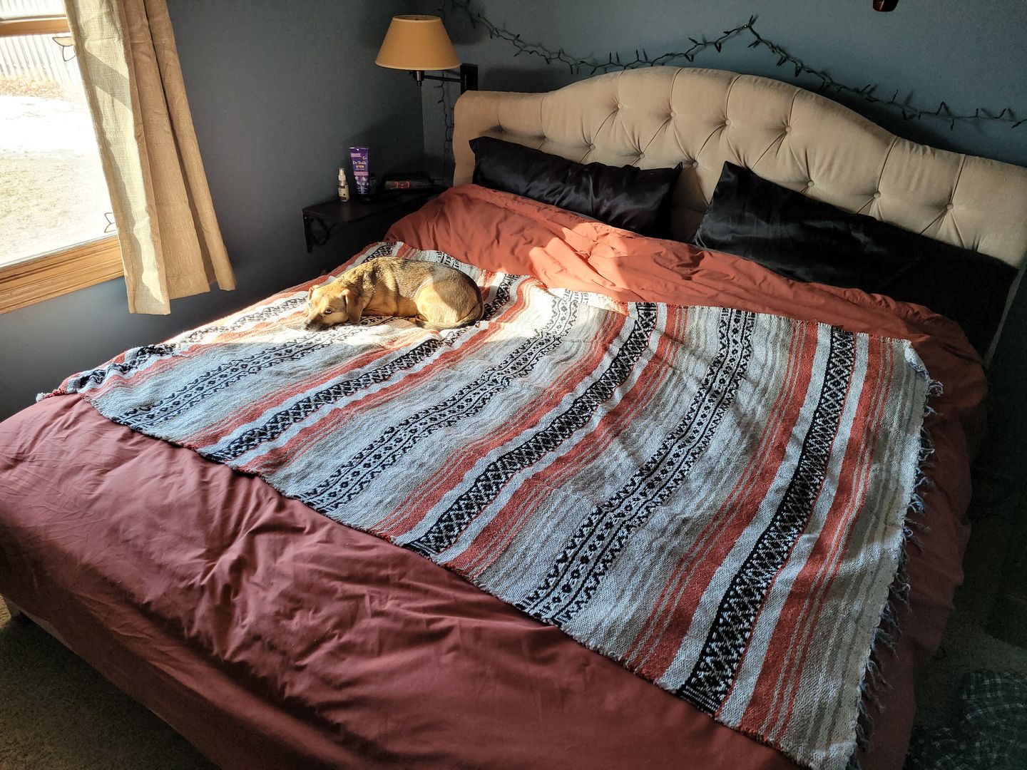 Customer photo review of Striped Falsa Blanket