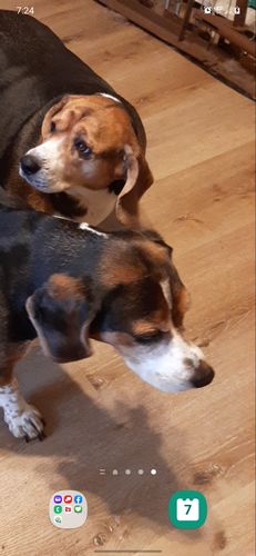 Customer photo review of Waylon: An Autobiography