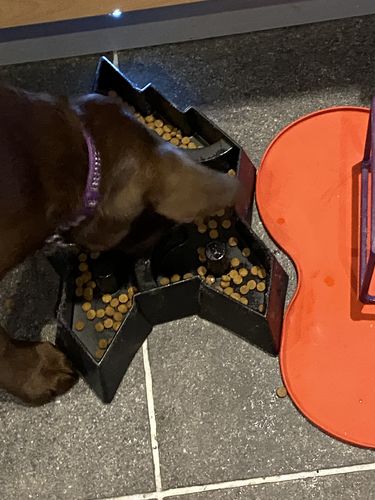 Customer photo review of Fenrir Puzzle Bowl