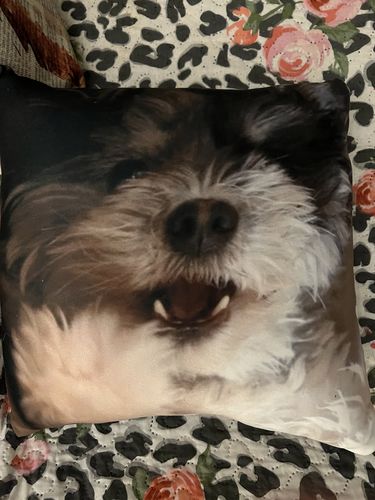 Customer photo review of Create A Custom Dog Pillow