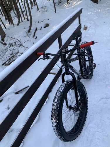Customer photo review of Minnesota - Fat 26"