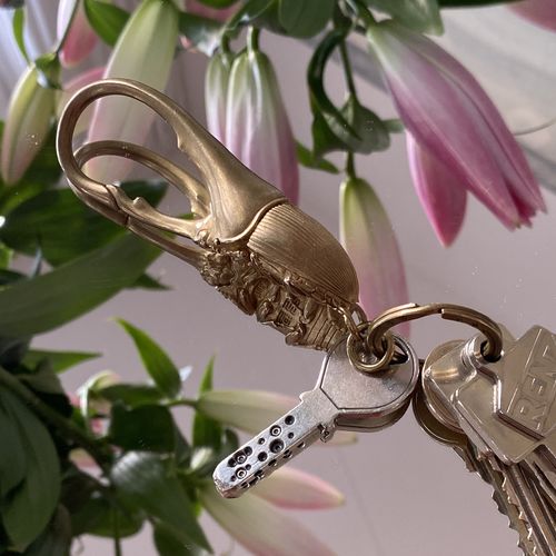 Customer photo review of Beetle Keychain | Brass