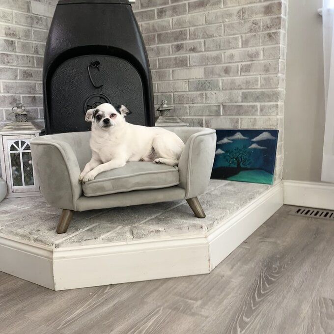 Customer photo review of Heisler Dog Sofa