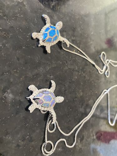 Customer photo review of Save a Turtle Necklace