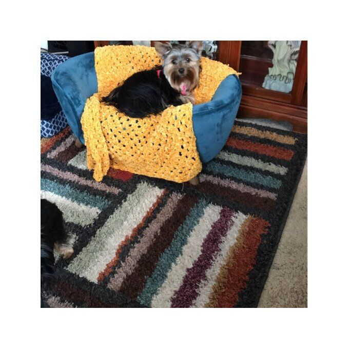 Customer photo review of Heisler Dog Sofa