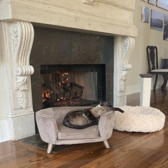 Customer photo review of Heisler Dog Sofa