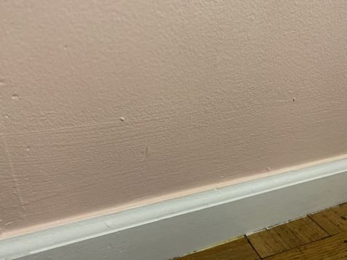Customer photo review of "Best Invention Ever!!! This has cut down our painting time by hours!!" — Margot G., EZ™️ Clean Cut Paint Edger Customer