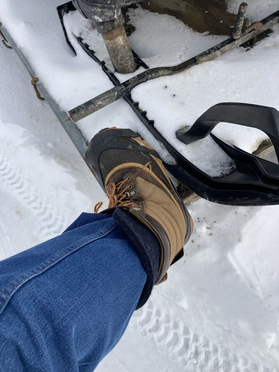 Customer photo review of Wool Felt Replacement Boot Liners (826 BB)