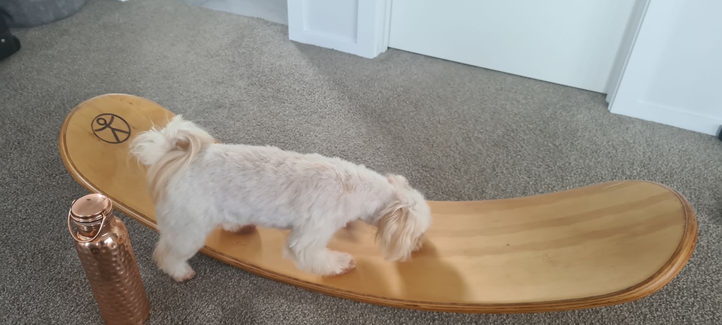 Customer photo review of Copper Water Bottle