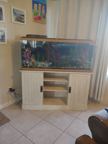 Customer photo review of Pasha White - One Step Paint