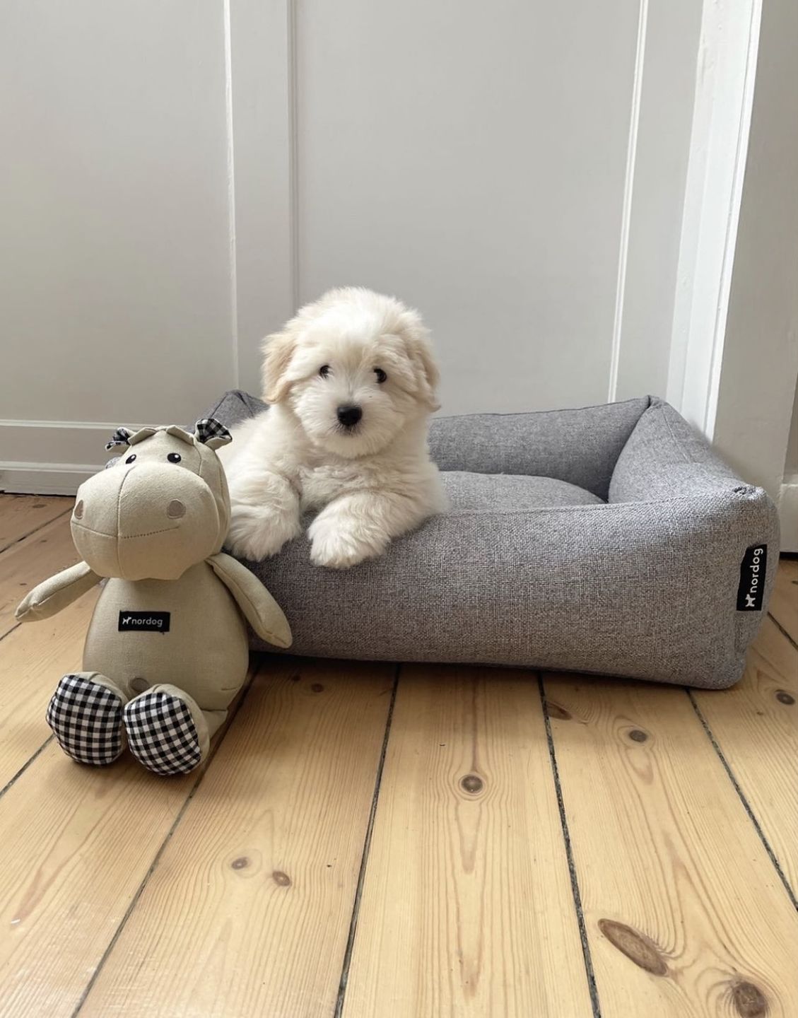 Customer photo review of Hundeseng 'HYGGE' (grå)