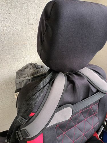 Customer photo review of All In One Pet Carrier Bag | Dog Bike Basket | Backpack for Dogs & Cats | Car Booster Seat