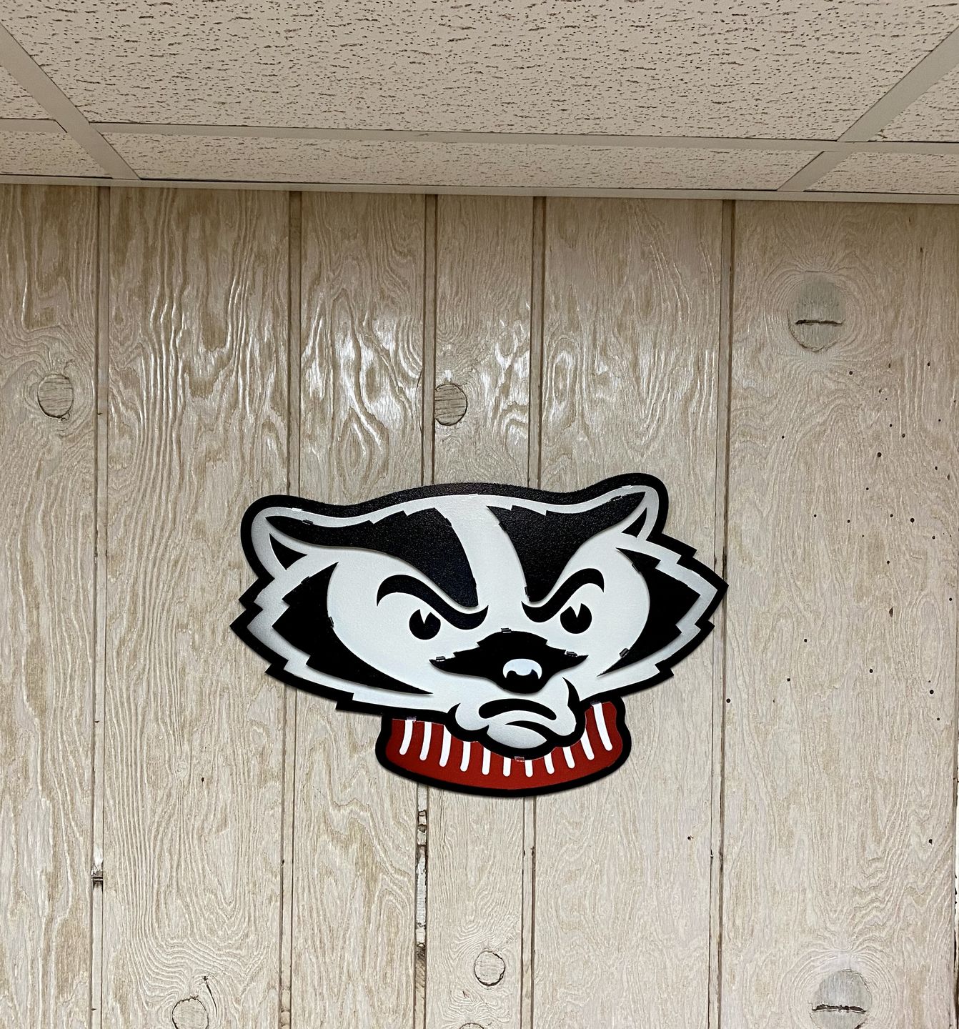 Customer photo review of University of Wisconsin Badger Head