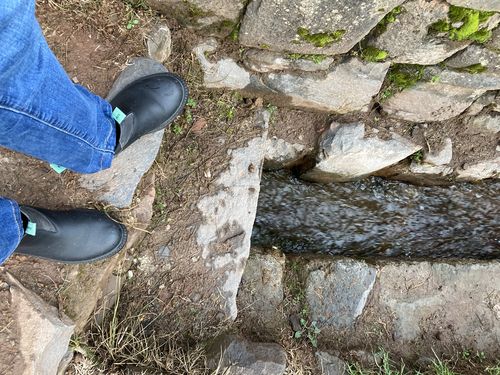 Customer photo review of ·MENTA GRAFITO MUJERES·