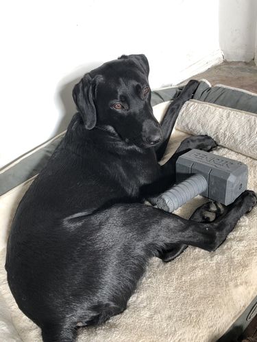 Customer photo review of The Fenrir Hammer