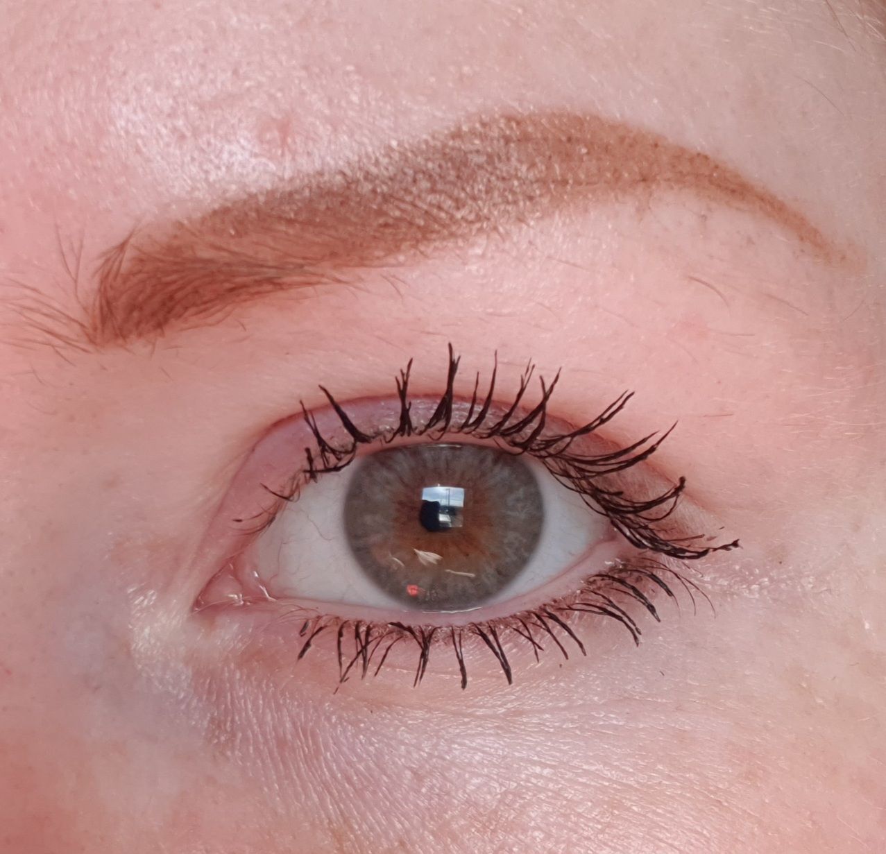Customer photo review of Siesta Crystal Iris Blue