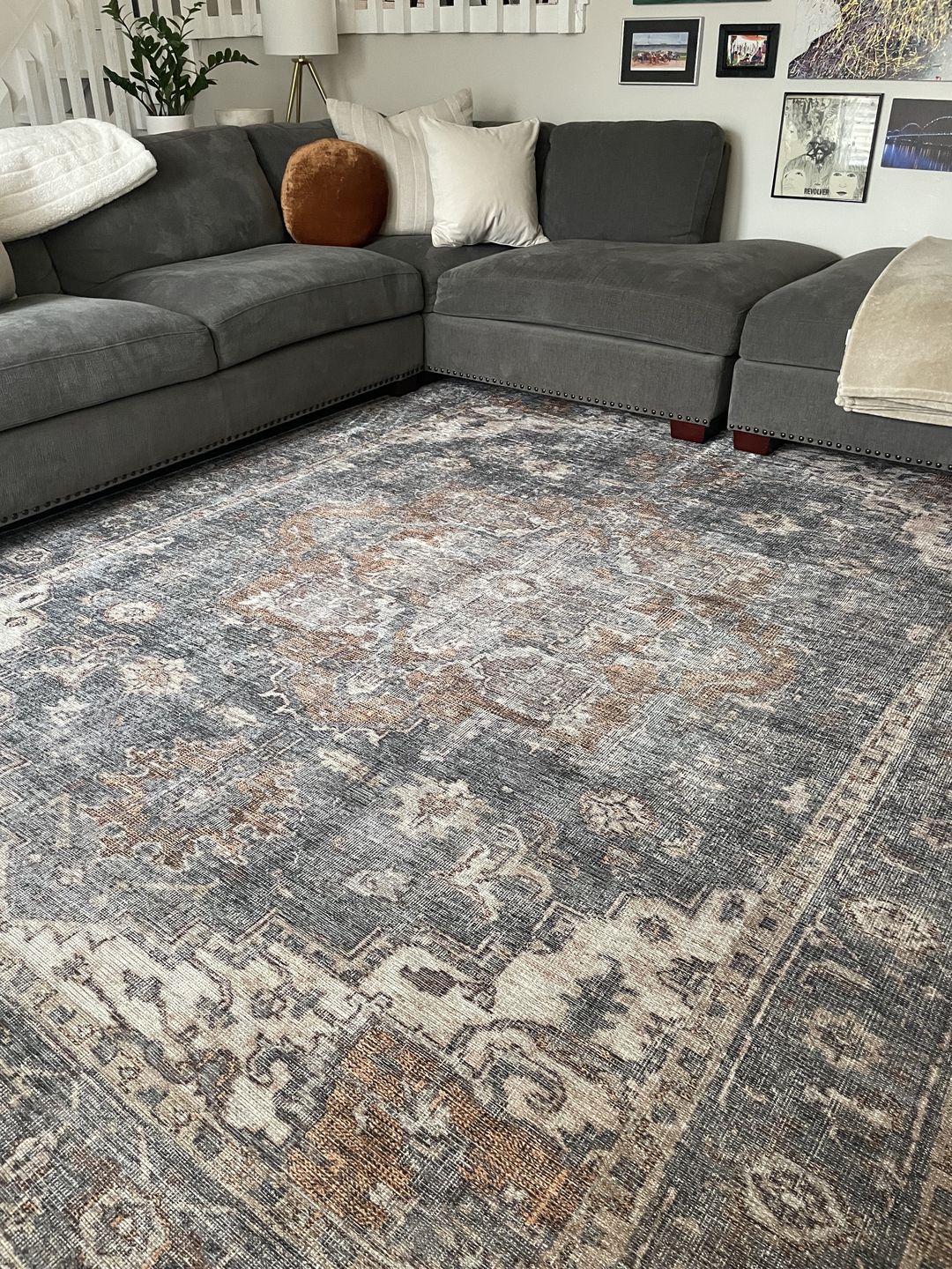 Customer photo review of Distressed Vintage Cezanne Rabbit Gray Inca Gold Area Rug
