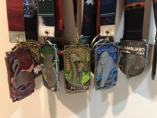 Customer photo review of Wild Animals Virtual Race Series