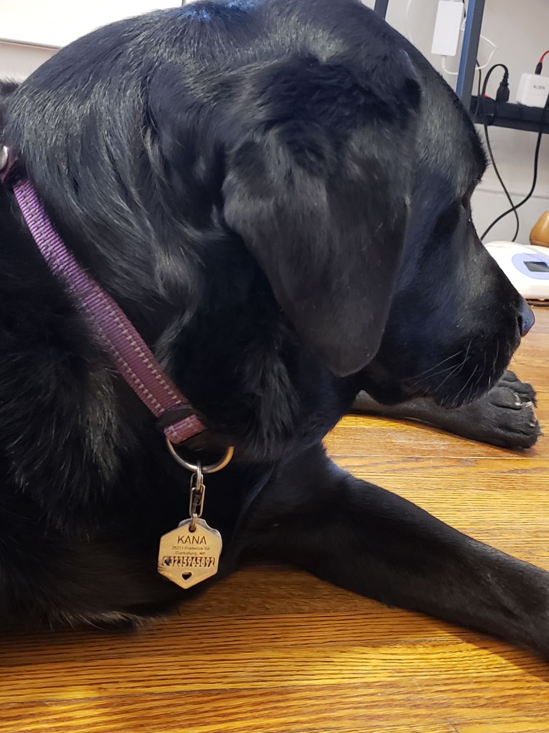 Customer photo review of Hollow-carved ID Tags