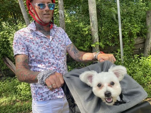 Customer photo review of All In One Pet Carrier Bag | Dog Bike Basket | Backpack for Dogs & Cats | Car Booster Seat