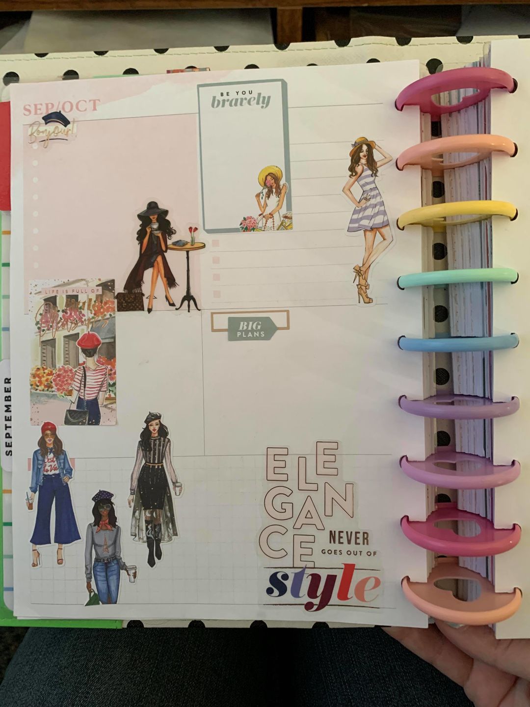 Customer photo review of This Is My Year Planner Sticker Book