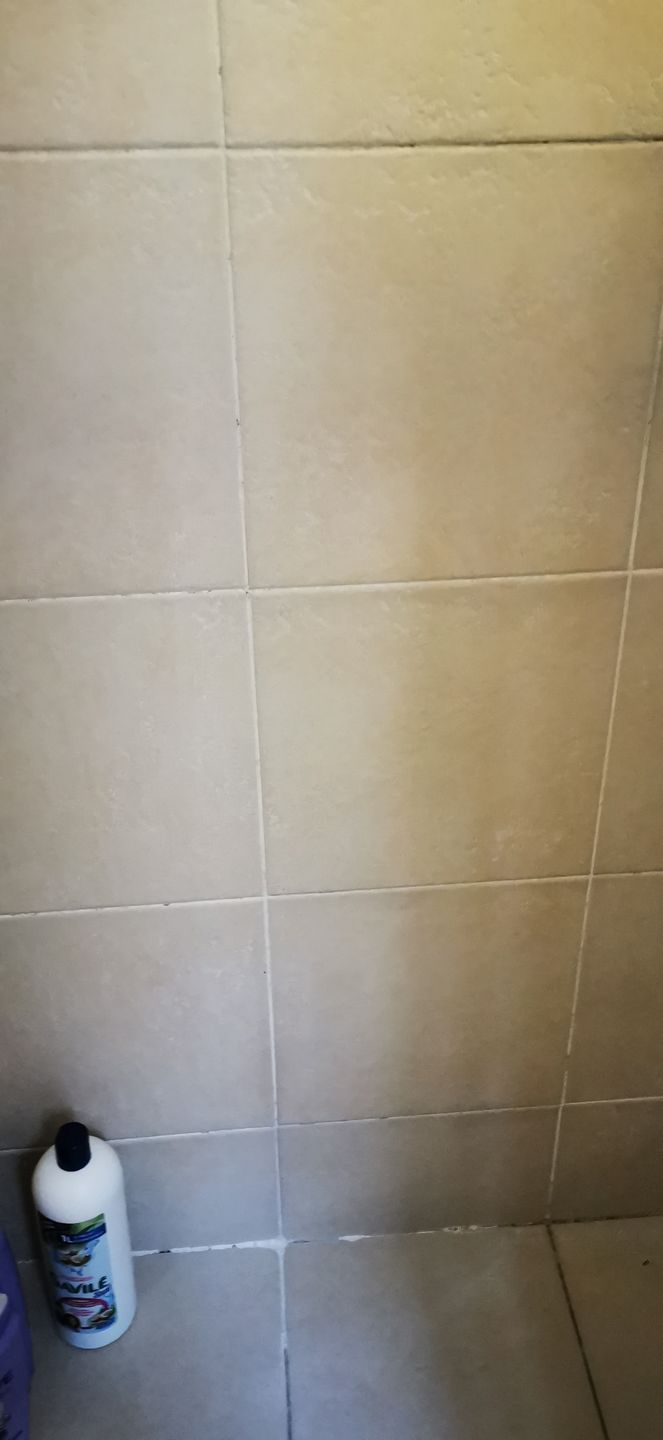 Customer photo review of Desmanchador de Boquilla 1000 ml