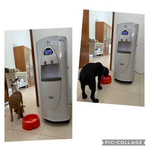 Customer photo review of NUBE SS30 Filters / spare parts